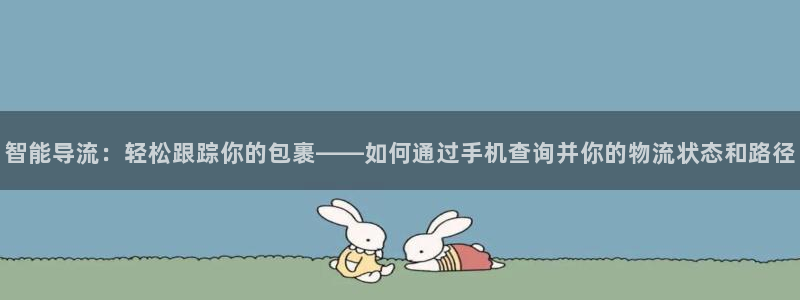 狗子28选28ng官网：智能导流：轻