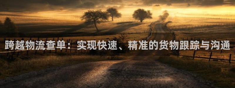 狗子28如何退款：跨越物流查单：实现