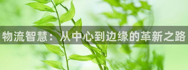 狗子28充值不到账怎么办：物流智慧：从中心到边缘的革新之路