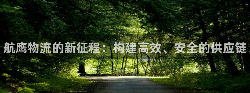 狗子28加拿大怎么玩：航鹰物流的新征