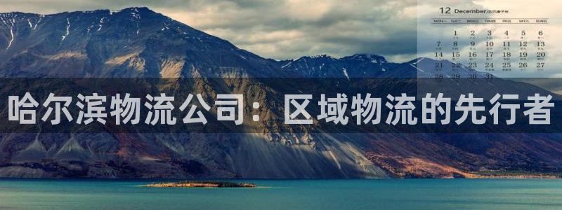狗子28旗下：哈尔滨物流公司：区域物