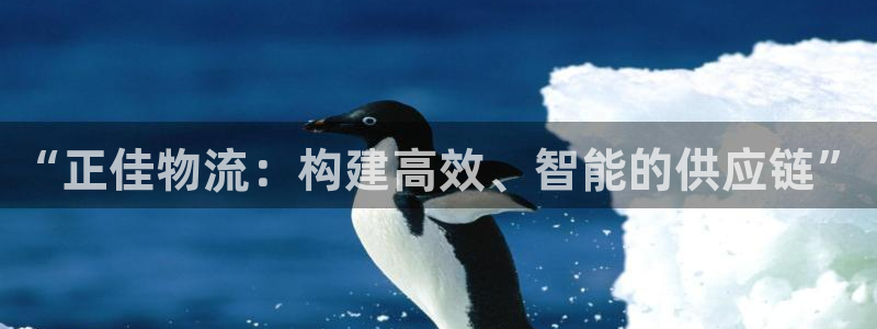 狗子28电子游戏
