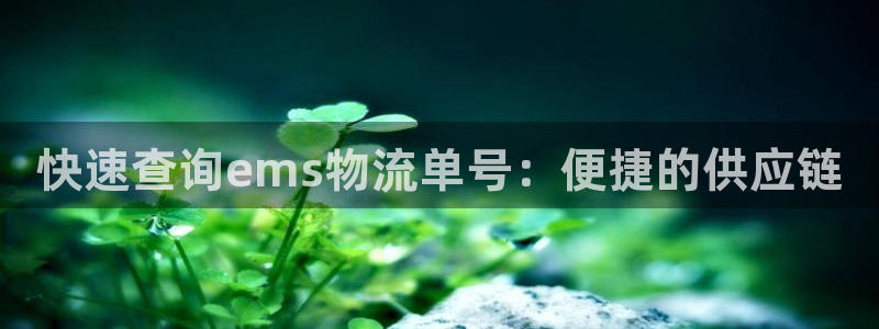 狗子28旗下：快速查询ems物流单号