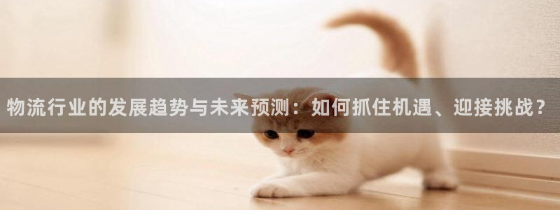 狗子28官网多少：物流行业的发展趋势