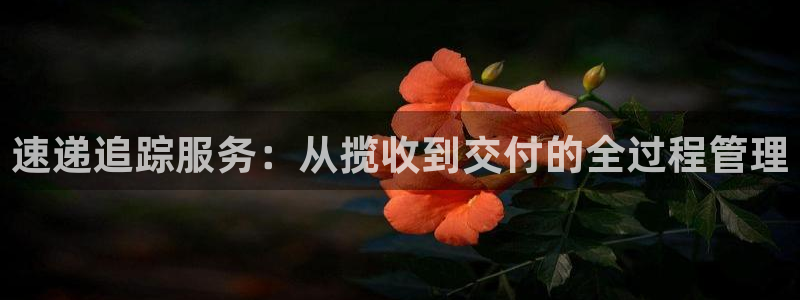 狗子28大舞台：速递追踪服务：从揽收