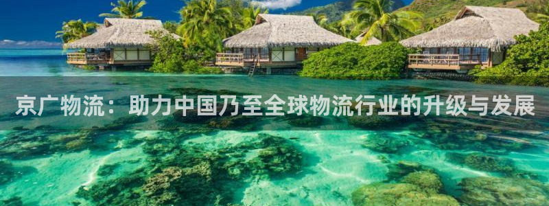 狗子28官网下载链接：京广物流：助力