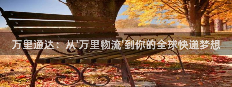 狗子28充值方式：万里通达：从\'万里物流\'到你的全球快递