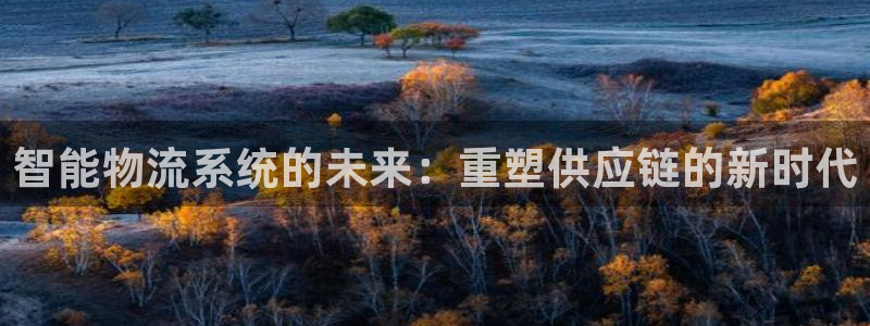 狗子28下载体育