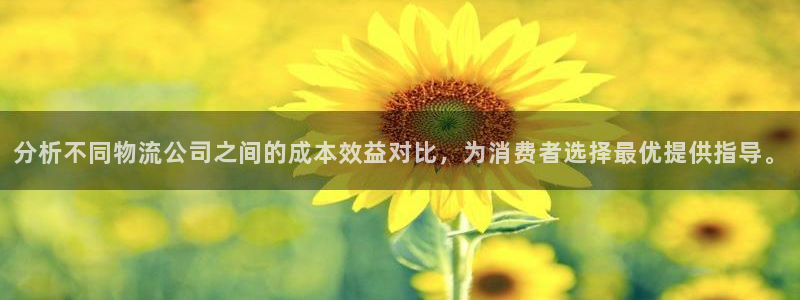 狗子28怎么注册账号：分析不同物流公司之间的成本效益对比，为