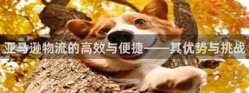 狗子28怎么下载
