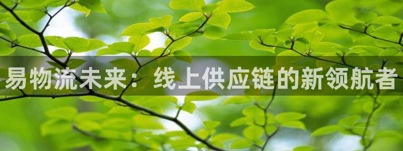 狗子28登陆网:易物流未来:线上供应
