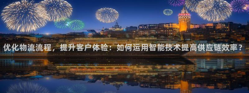 狗子28加拿大官网:优化物流流程,提