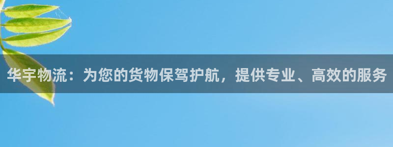 狗子28网站平台：华宇物流：为您的货