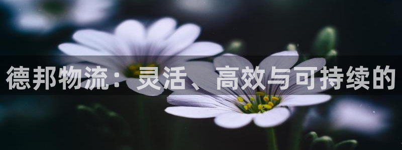 狗子28官网开奖结果预测:德邦物流: