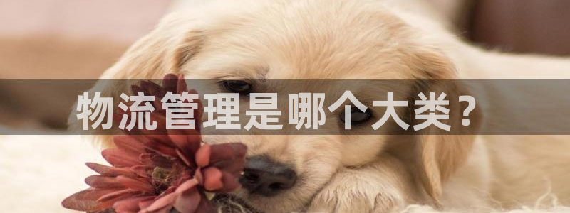 狗子28登陆网：物流管理是哪个大类？