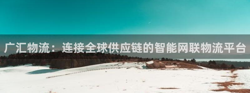 狗子28官网平台:广汇物流:连接全球