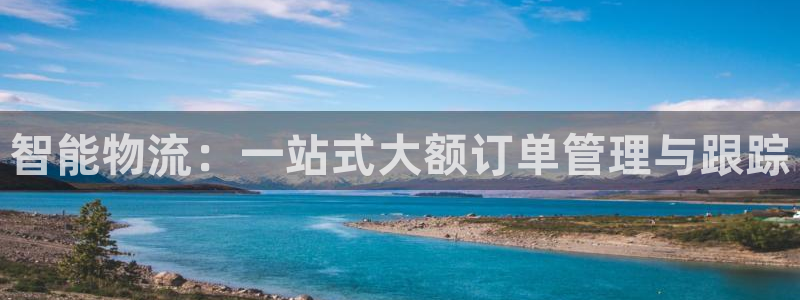 狗子28赌博被抓：智能物流：一站式大