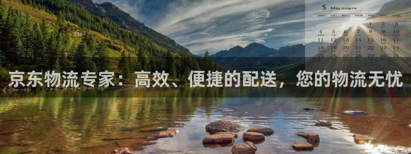 狗子28绿骨头:京东物流专家:高效、