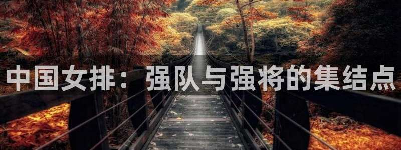 看球吧直播视频在线直播：中国女排：强队与强将的集结点