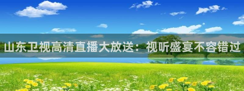 看球吧直播nba直播：山东卫视高清直播大放送：视听盛宴不容错过