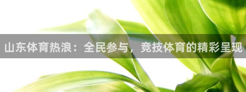 看球吧直播 在线观看nba：山东体育热浪：全民参与，竞技体育的精彩呈现
