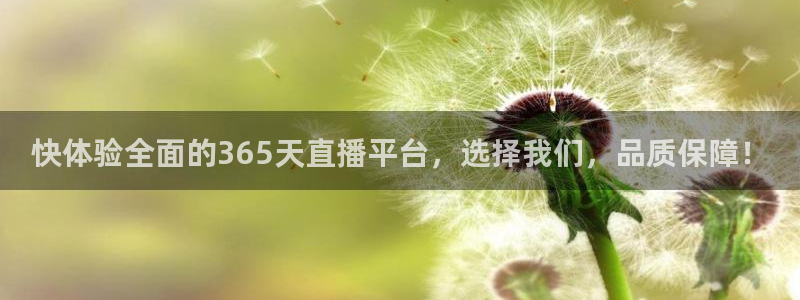 免费看球吧：快体验全面的365天直播平台，选择我们，品质保障！