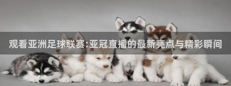 看球吧nba免费直播：观看亚洲足球联赛:亚冠直播的最新亮点与精彩瞬间